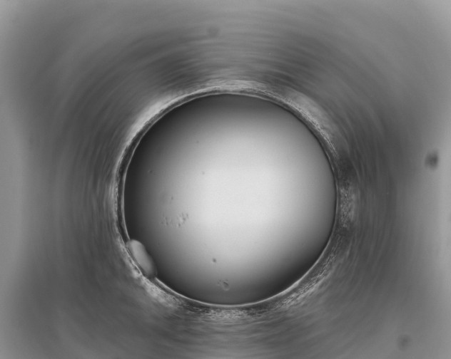 X0000096151046200801251100