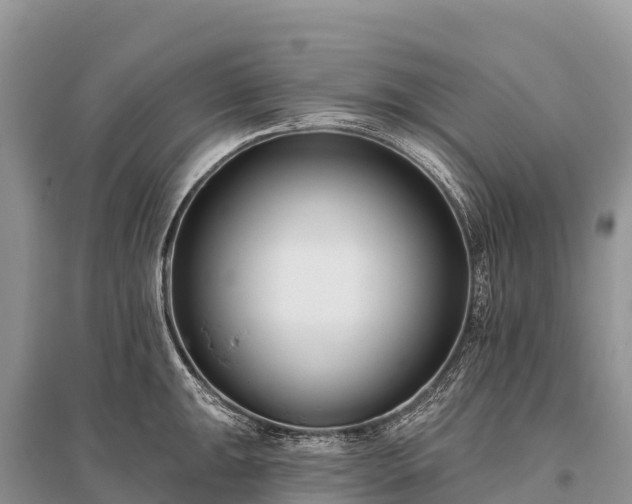 X0000096151047200801251100