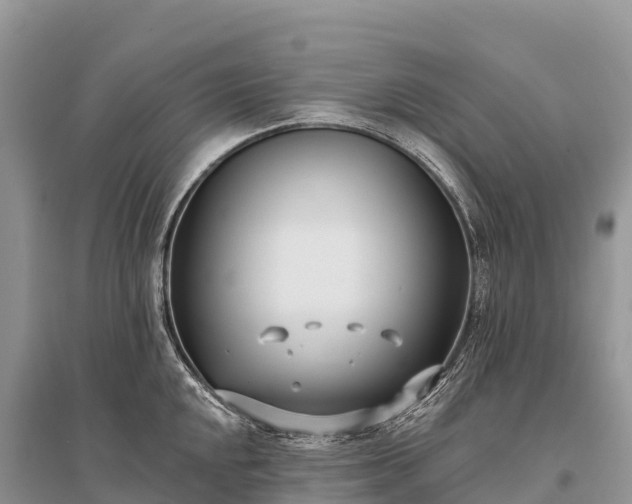 X0000096151048200801251100