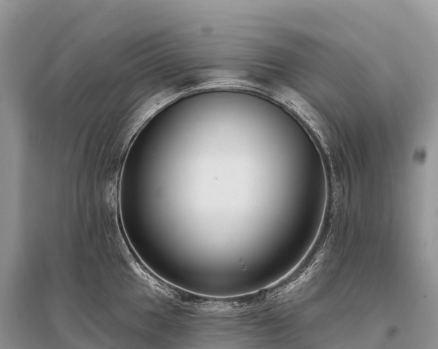 X0000096151049200801251100