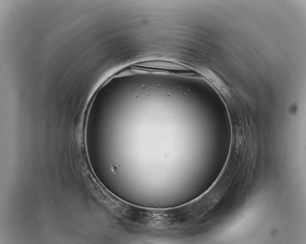 X0000096151052200801251100