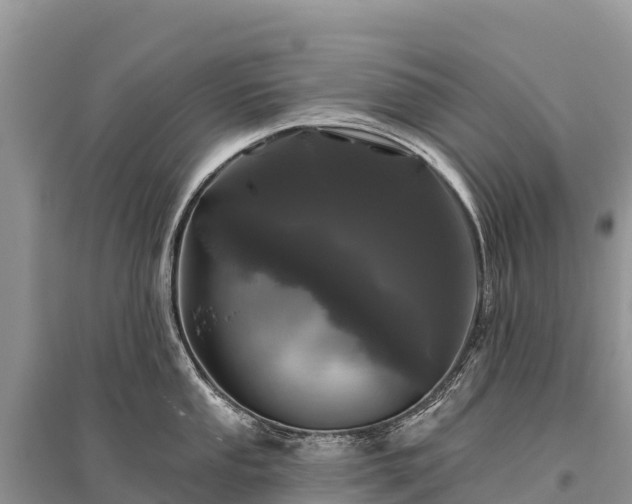 X0000096151053200801251100