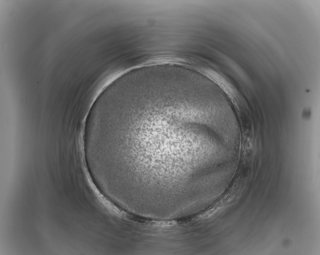 X0000096151055200801251100
