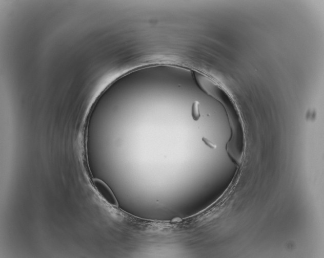 X0000096151056200801251100