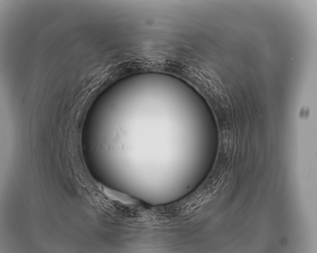 X0000096151057200801251059