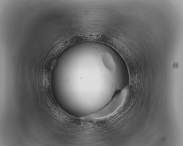 X0000096151058200801251059
