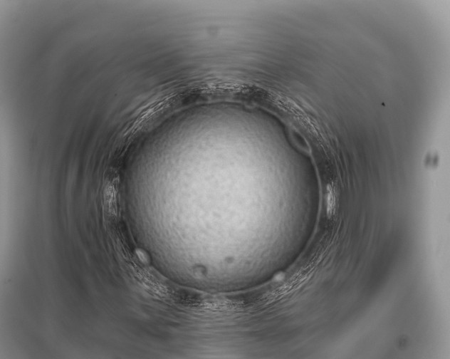 X0000096151059200801251059