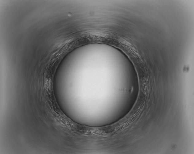 X0000096151061200801251059