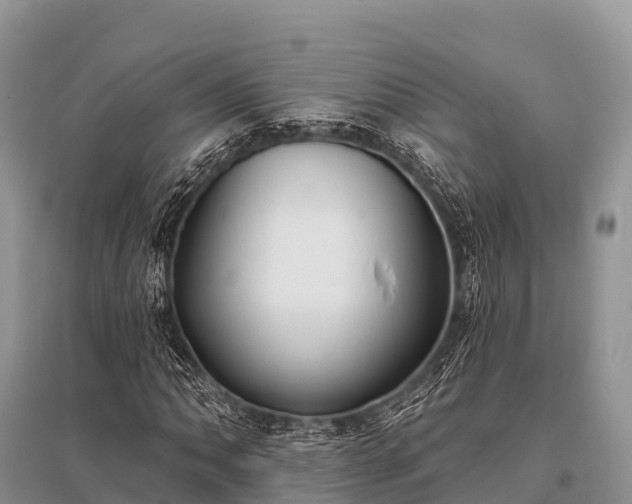 X0000096151062200801251059