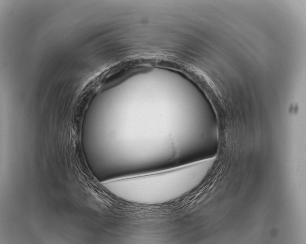 X0000096151064200801251059