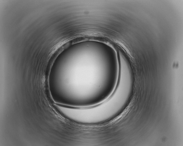 X0000096151065200801251059