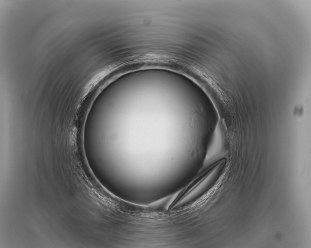 X0000096151066200801251059
