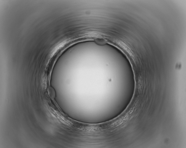 X0000096151067200801251059