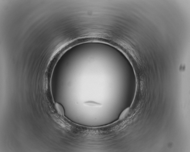X0000096151069200801251059