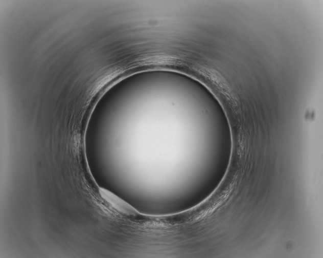 X0000096151073200801251059