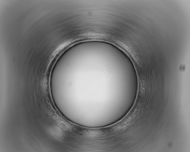 X0000096151074200801251059