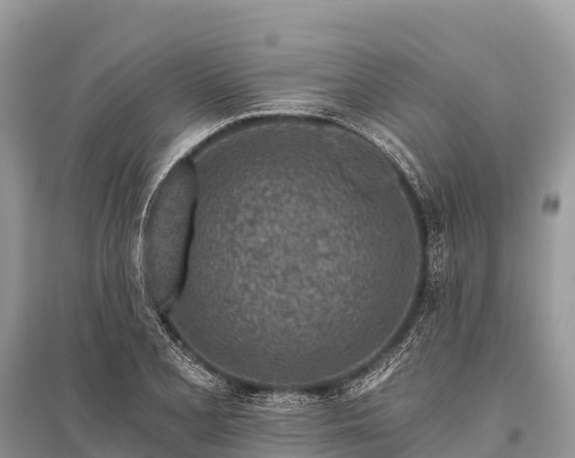 X0000096151077200801251059