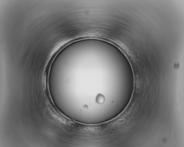 X0000096151078200801251059