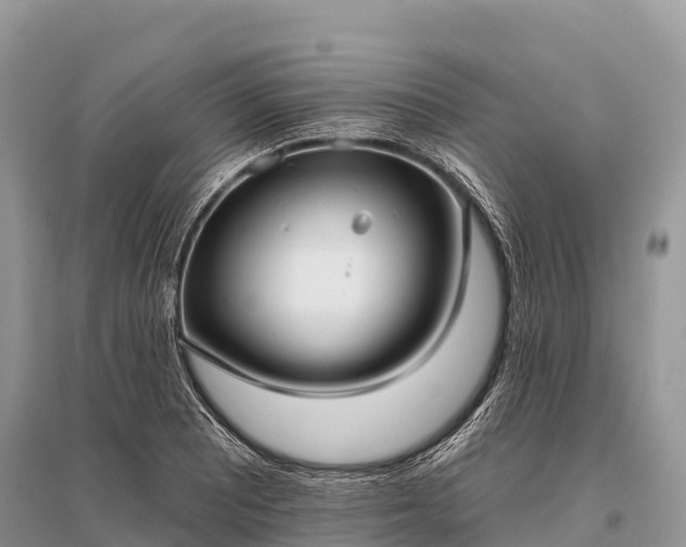 X0000096151081200801251059