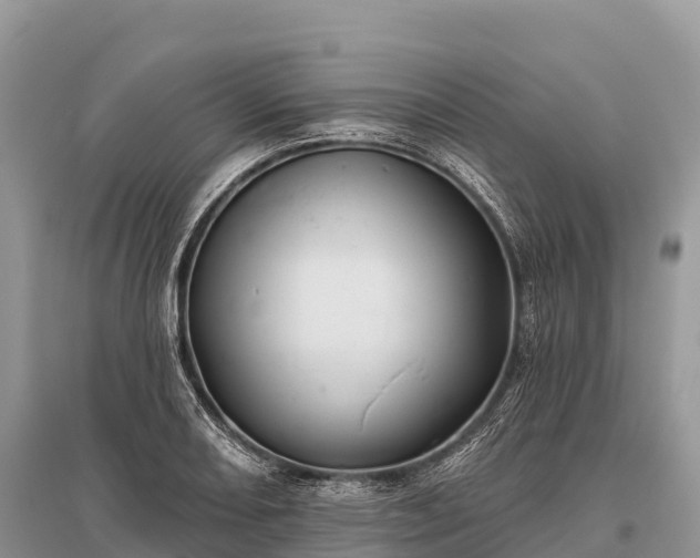X0000096151082200801251059