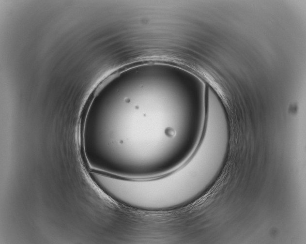 X0000096151084200801251059