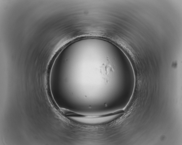 X0000096151085200801251059