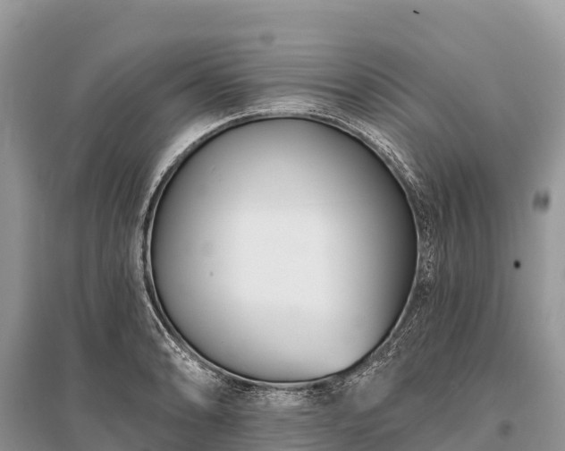 X0000096151086200801251059