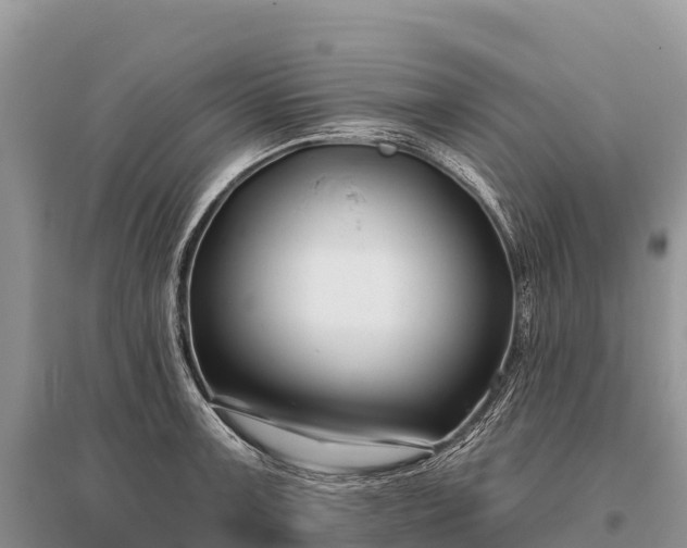 X0000096151091200801251059