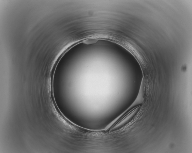 X0000096151092200801251059