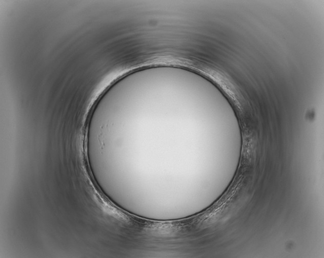 X0000096151094200801251059