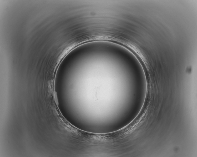 X0000096151097200801251059