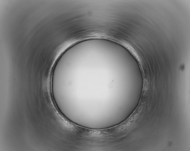 X0000096151098200801251059