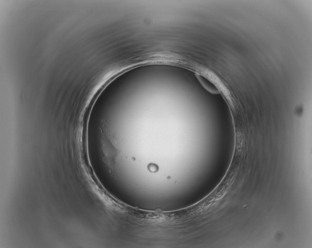 X0000096151099200801251059