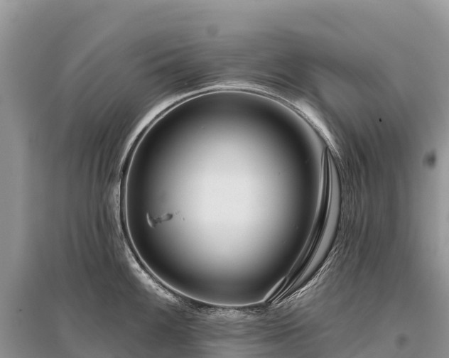 X0000096151100200801251059