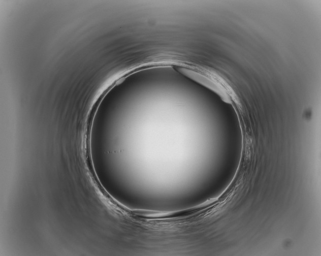 X0000096151101200801251059