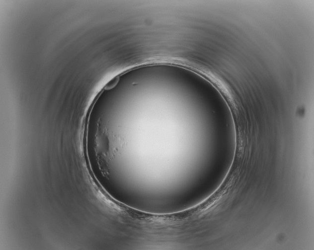 X0000096151102200801251059
