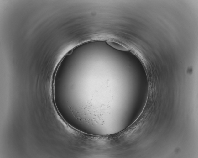 X0000096151103200801251059