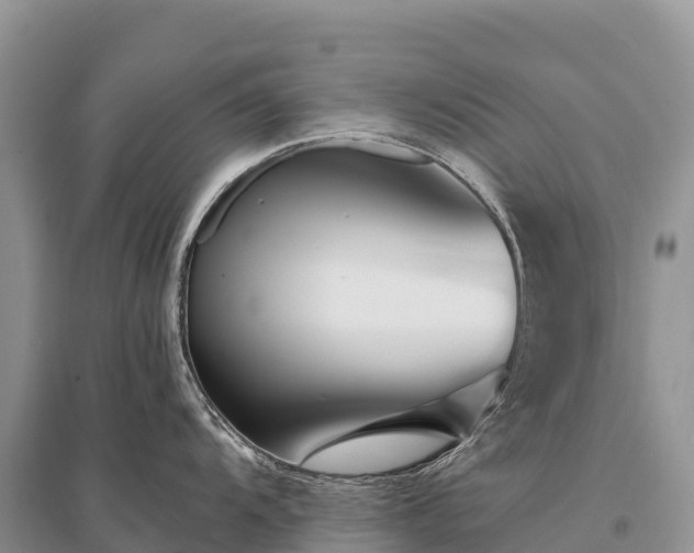 X0000096151104200801251059