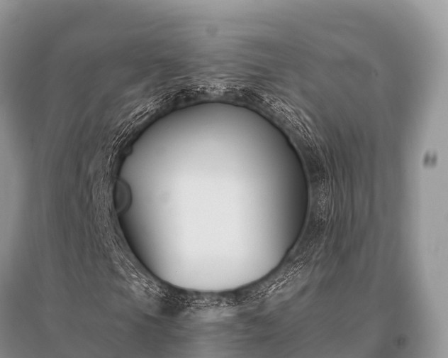 X0000096151105200801251058