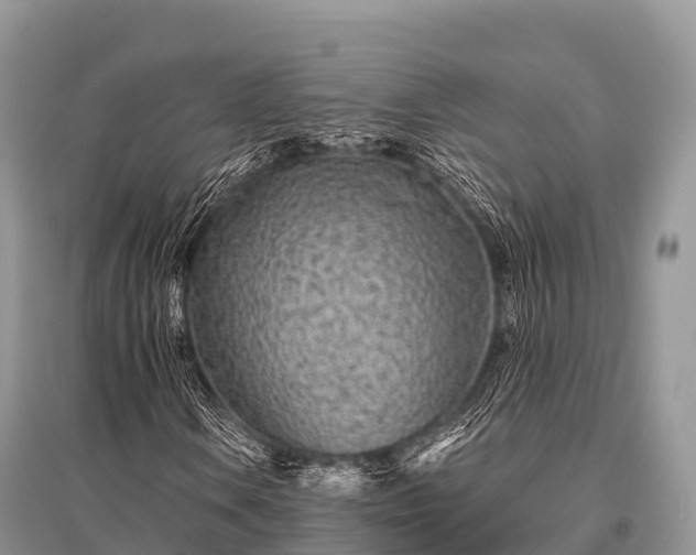 X0000096151106200801251058