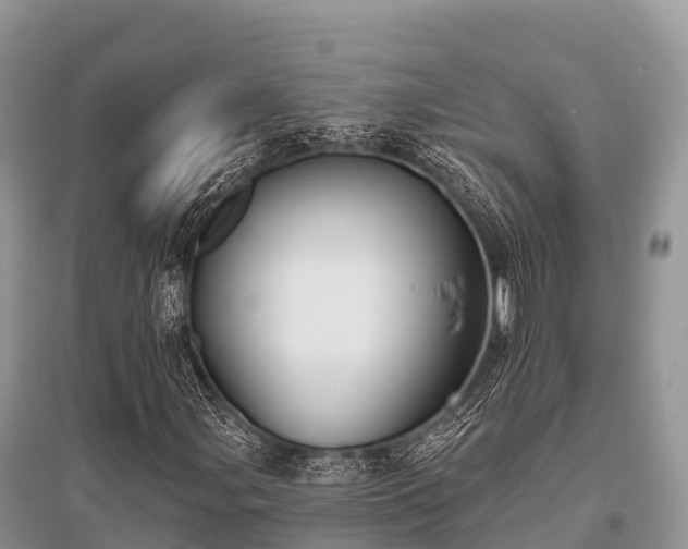 X0000096151107200801251058
