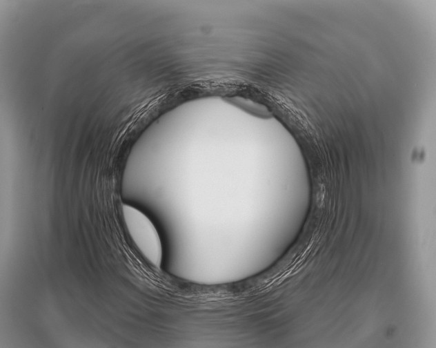 X0000096151108200801251058