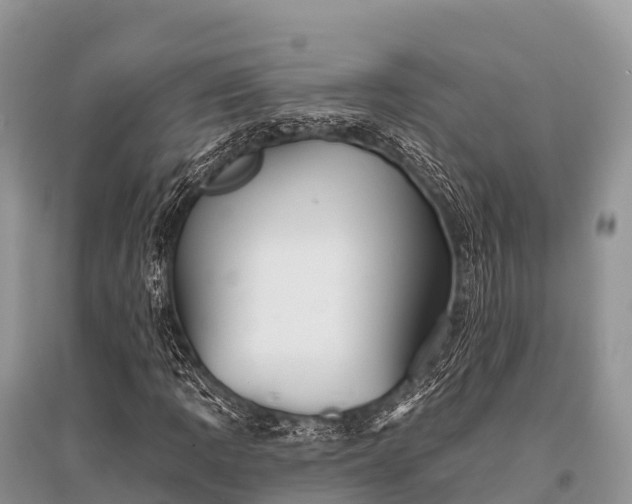 X0000096151109200801251058