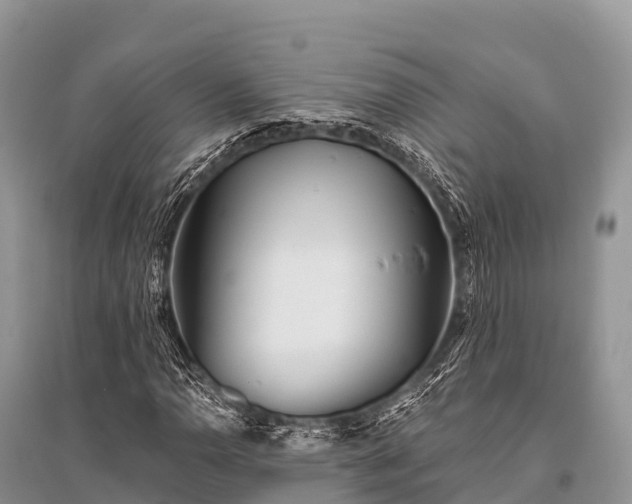 X0000096151110200801251058