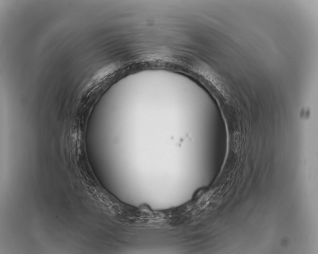 X0000096151111200801251058