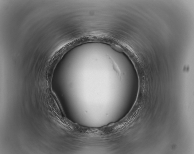 X0000096151112200801251058