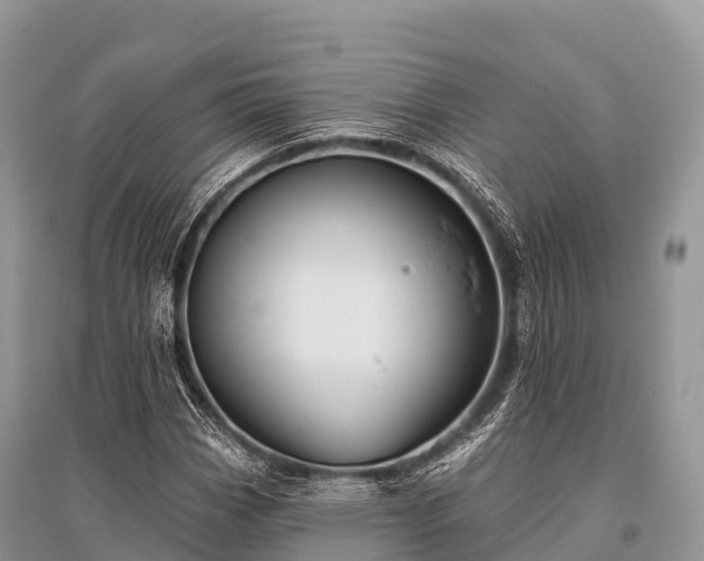X0000096151113200801251058