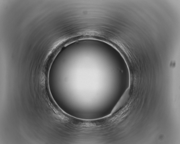 X0000096151115200801251058