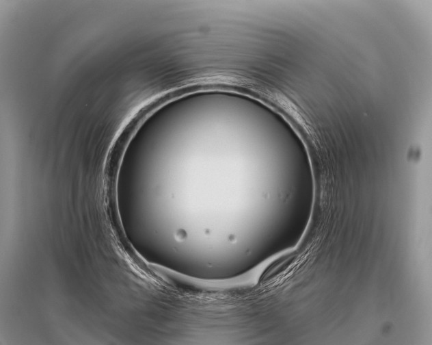 X0000096151116200801251058
