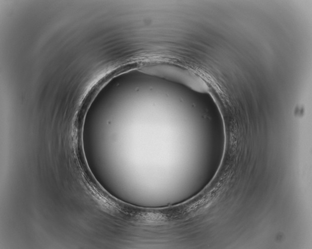 X0000096151119200801251058